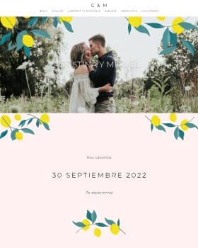 Diseño Lemon Grove