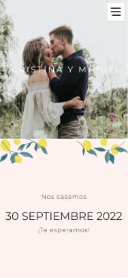 Diseño Lemon Grove