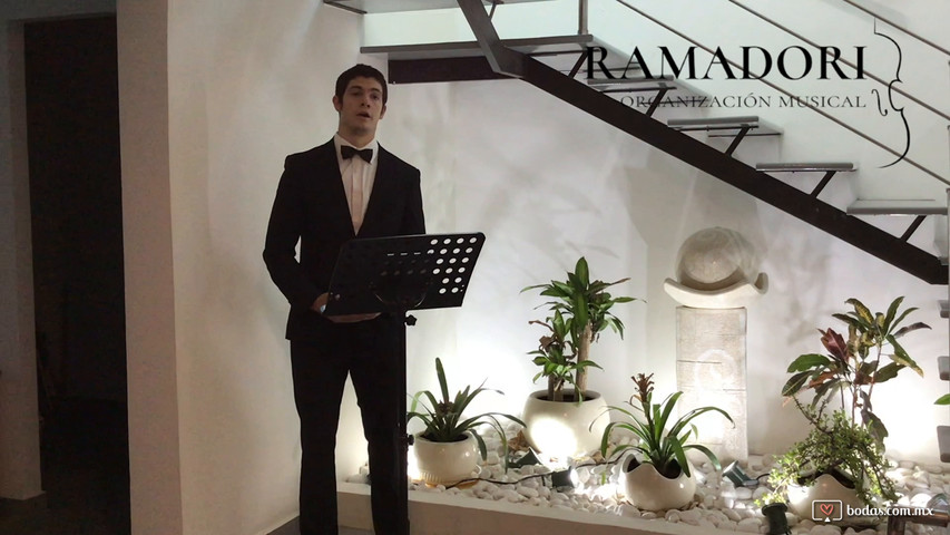 Cantante con pistas