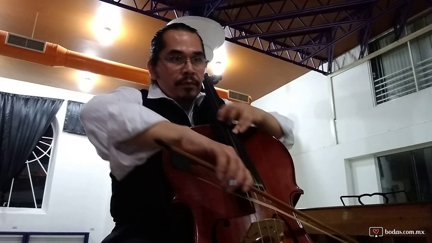 Cello con pistas