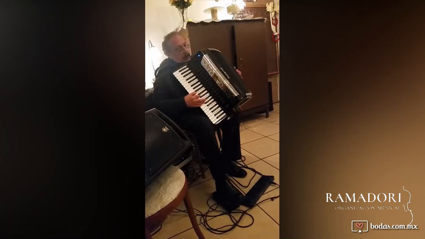 Por ti volaré 