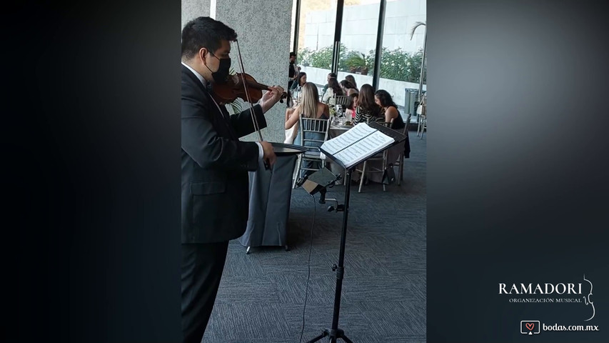 Violín con pistas