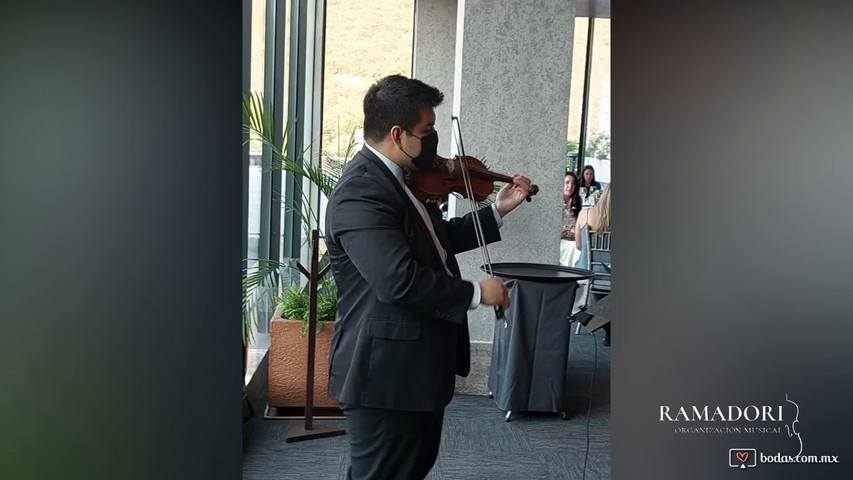 Violín con pistas 