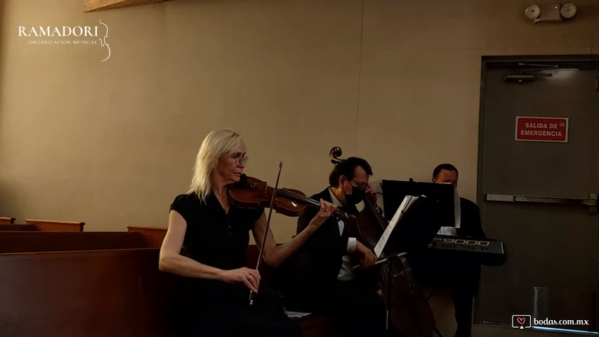Canon Pachelbel 