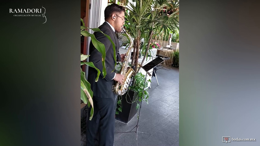 Don´t Start Now 