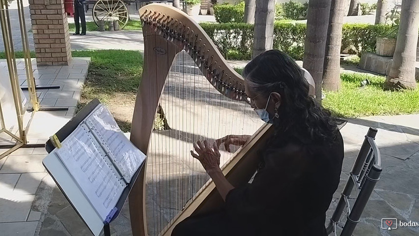La Bella y la Bestia 