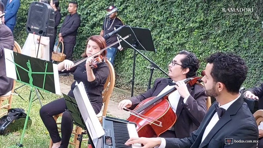 Canon Pachelbel 