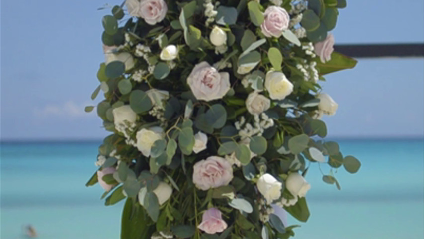 Decoración gazebo con rosas y tela blanca