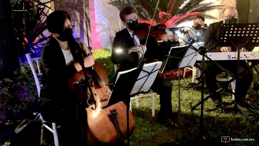 Música para eventos sociales