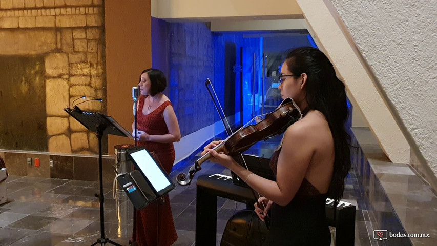 Misa de bodas con soprano, violín y piano