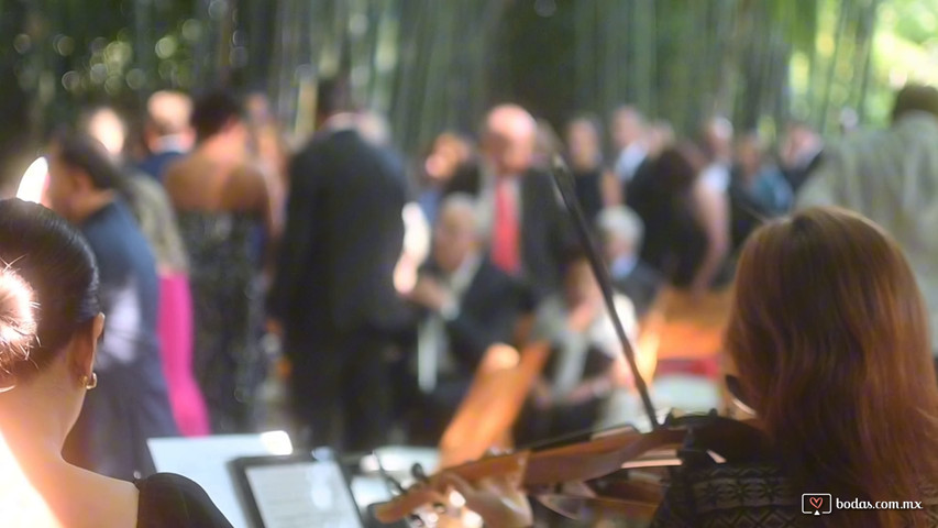 Cuarteto de Cuerdas, Canon en D