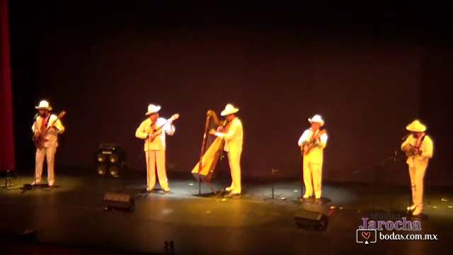 Son Jarocho "El Torito"