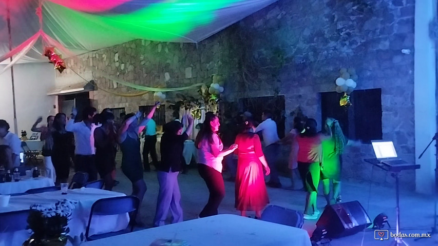 ¡Nos encanta verlos bailar! 