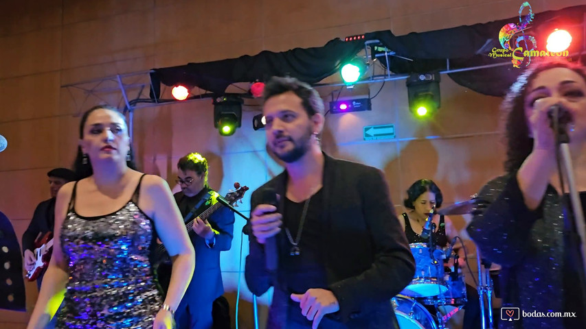 Grupo Musical Camaleón