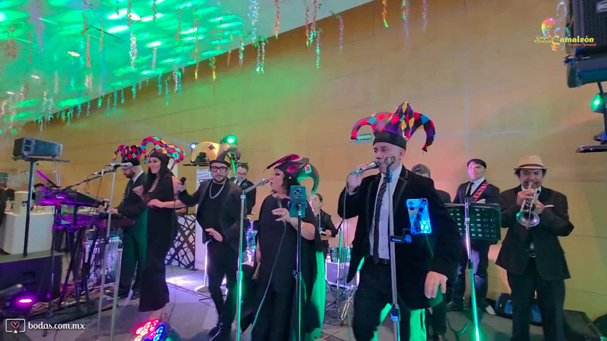 Grupo Musical Camaleón