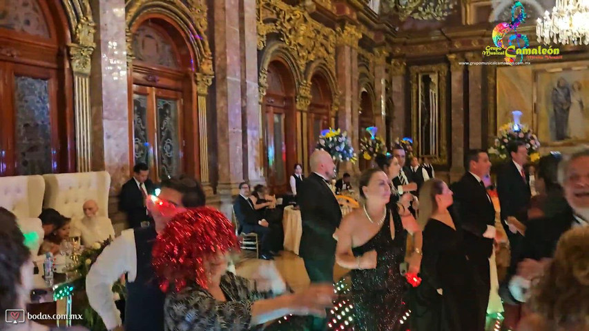  Grupo Musical Camaleón