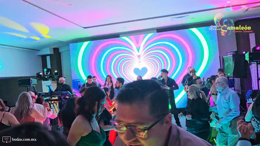  Grupo Musical Camaleón