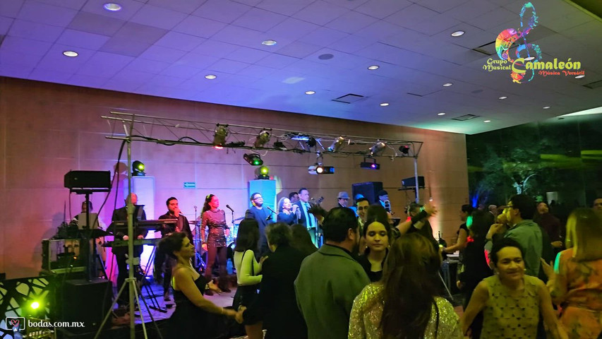 Grupo Musical Camaleón