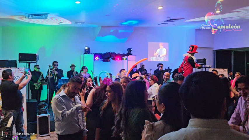 Grupo Musical Camaleón