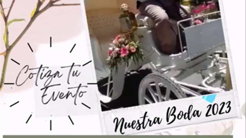 Tenemos el transporte perfecto para su boda