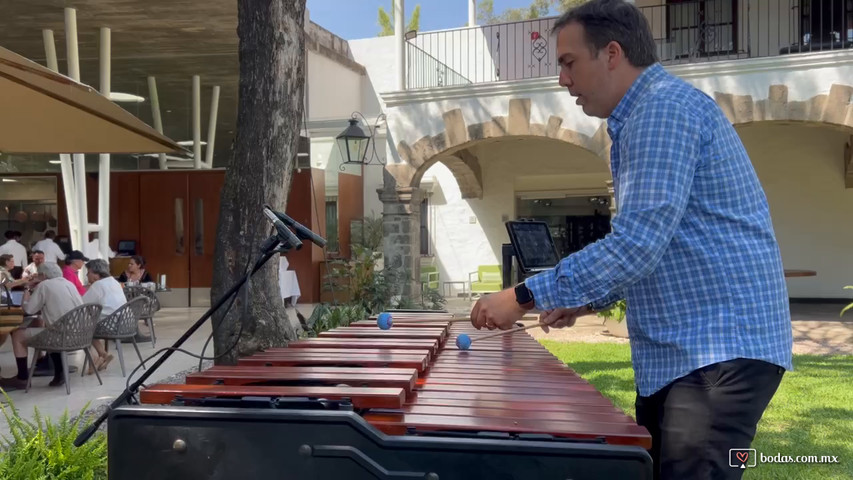 Marimba moderna en vivo 