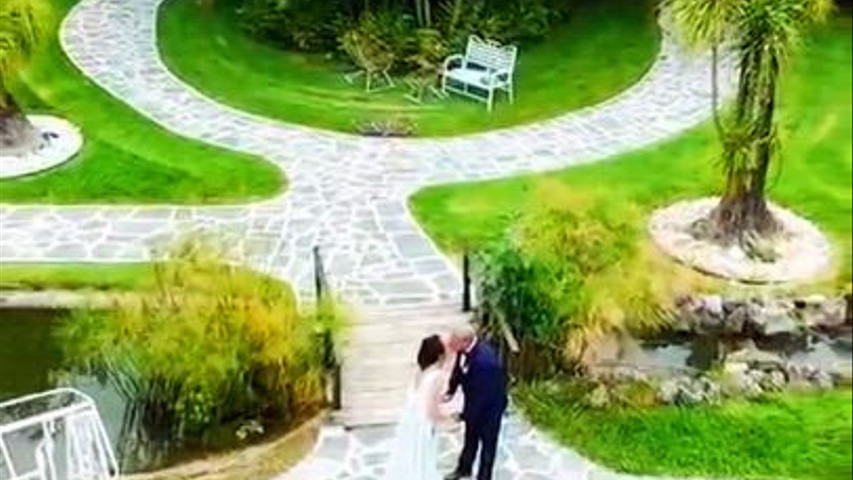 Wedding 