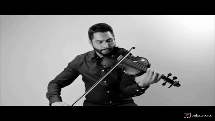 Shallow, Violín Cover