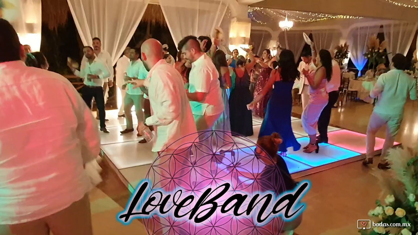 LoveBand369