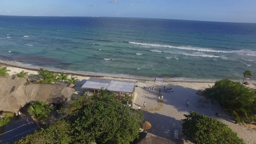 Blue Venado, Playa del Carmen, Mexico 