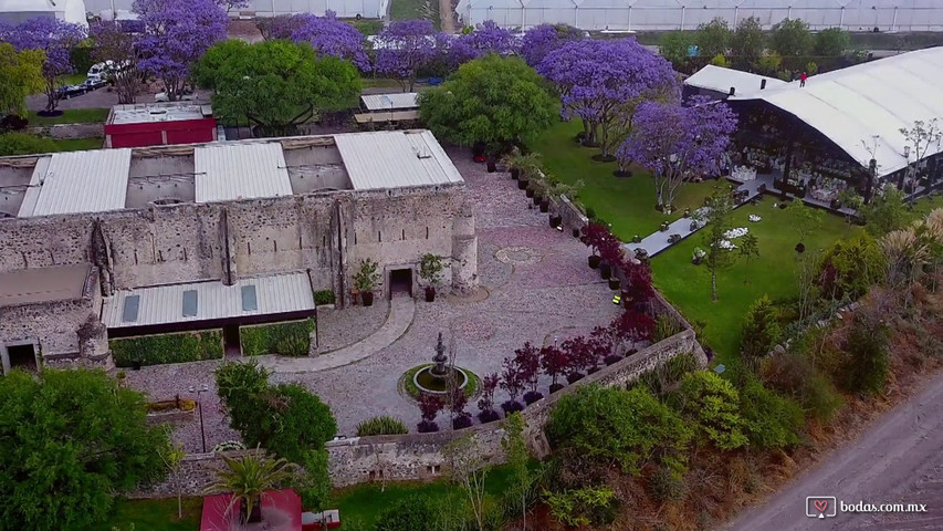 Boda en jardín 