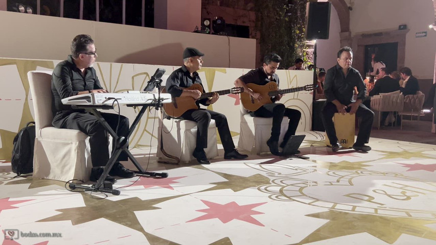 GUITARRAS FLAMENCAS. 