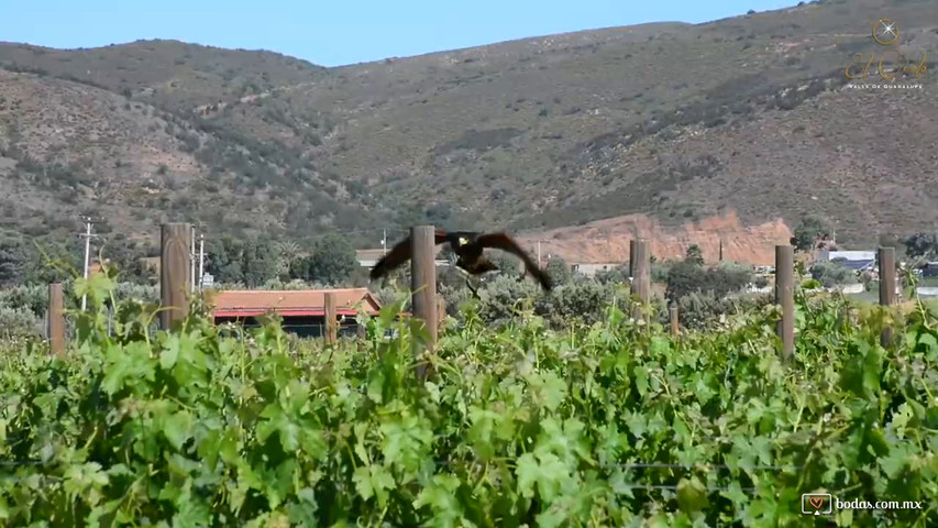 El Cielo Valle de Guadalupe