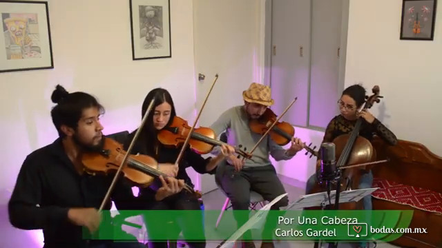 Cuarteto cuerdas