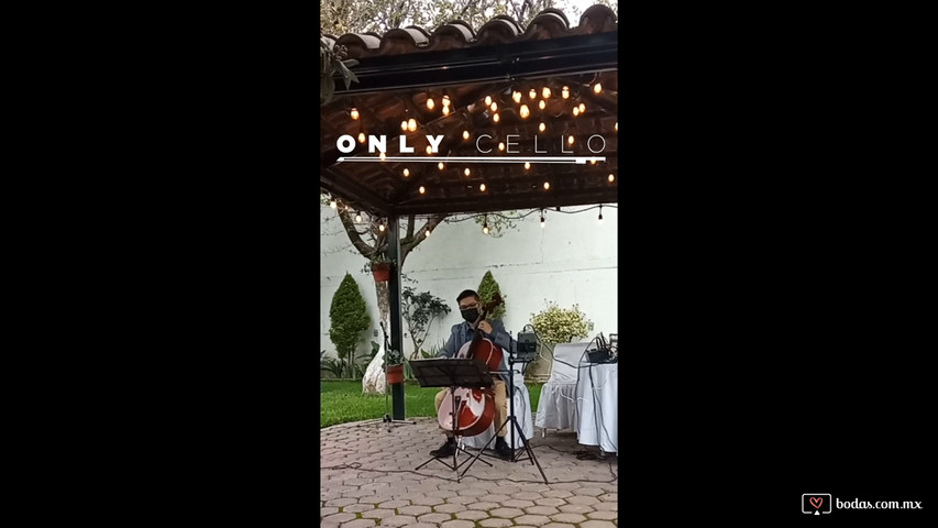 Only Cello