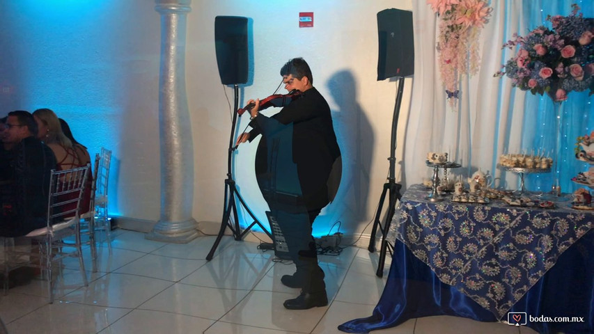 Violinista 