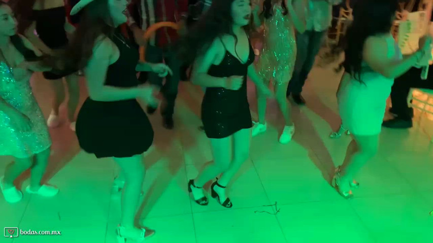 Andrómeda - Caballo Dorado