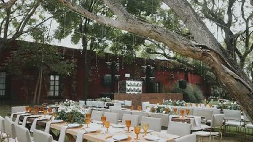 Jardín Jacarandas