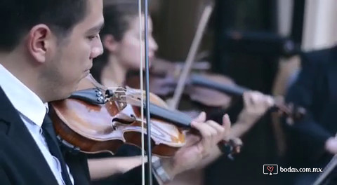 Cuarteto de cuerdas