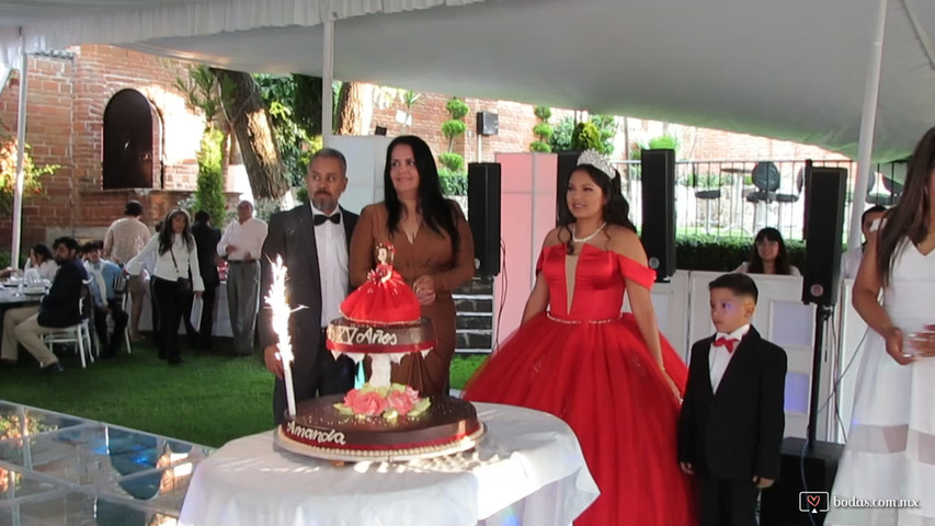 Brindis XV