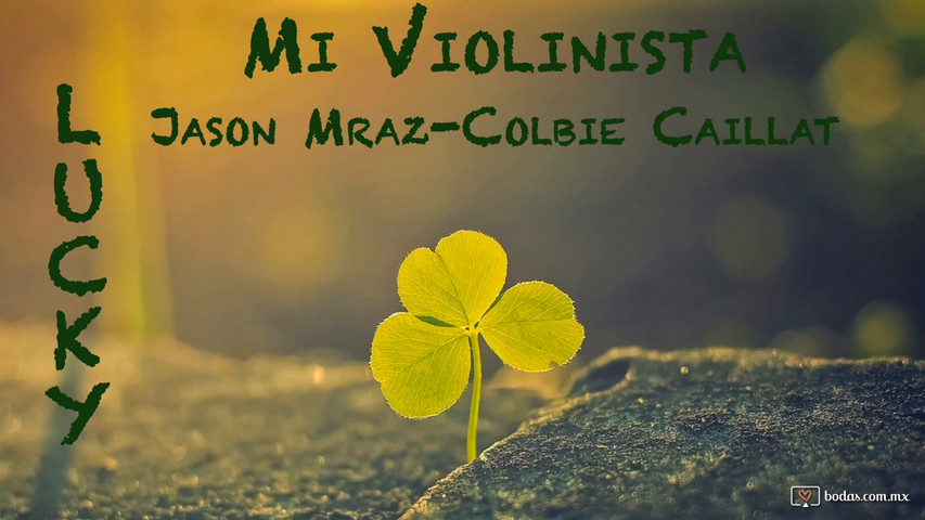 Mi Violinista