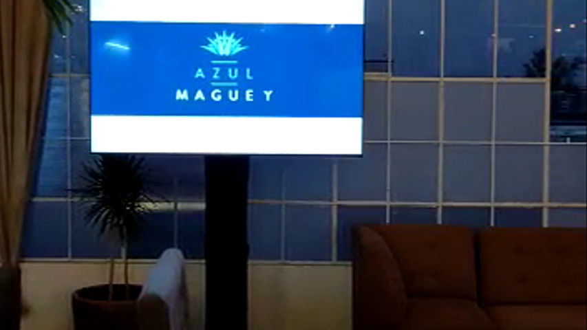 Terraza Azul Maguey San Ángel