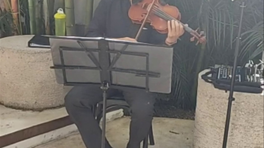 Violín con pistas (instrumental) para su boda