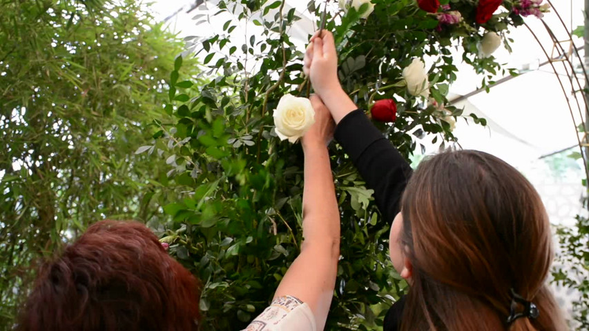 Boda Ana Karen & Sergio