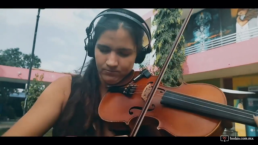 Yax Violinista