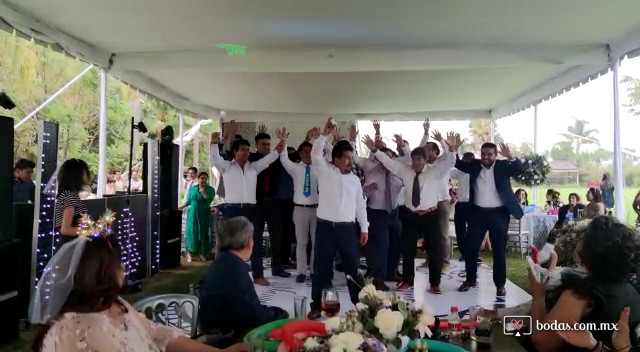 Disco Movilambiance