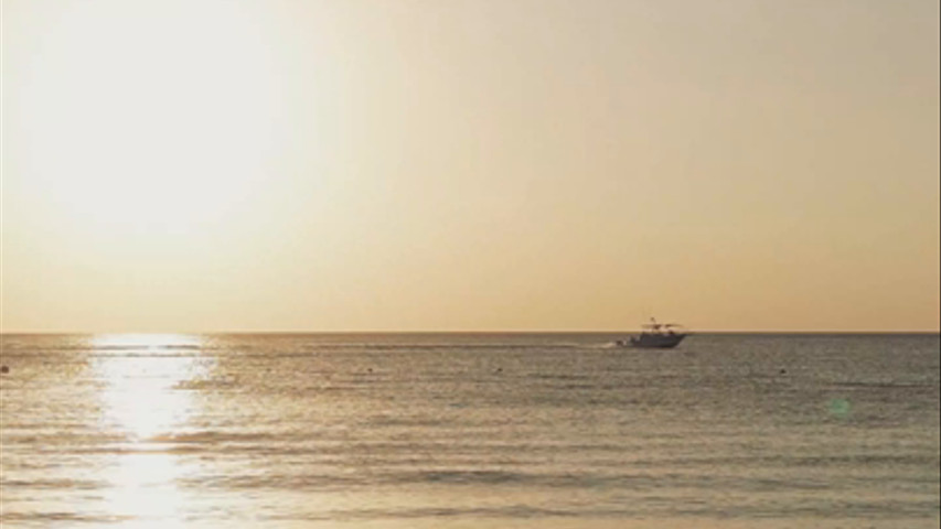 Hightlight wedding in Cozumel