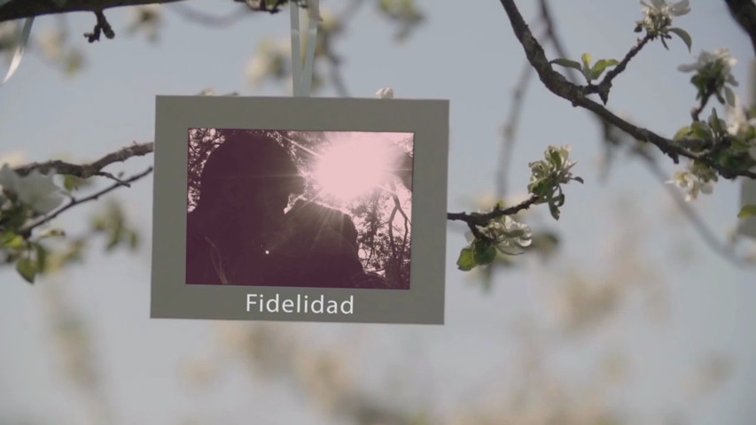 Video álbum de Vianey y Fer 