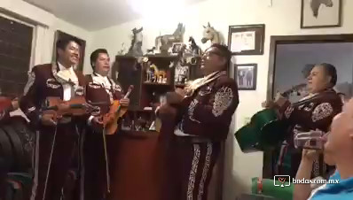 Mariachi Plata Real 