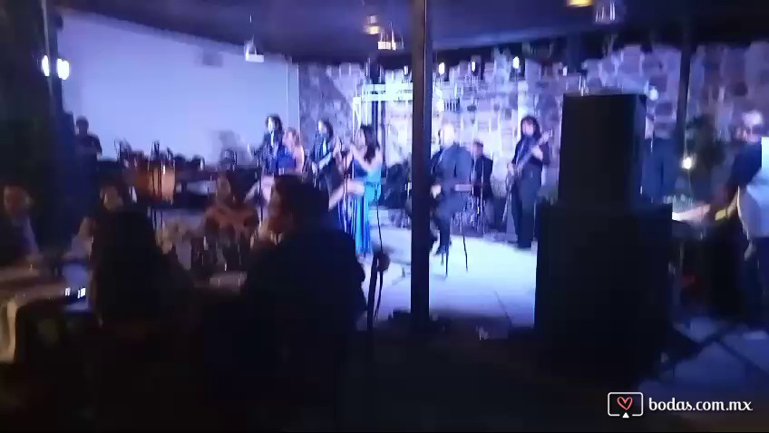 Grupo Versátil Barra Libre