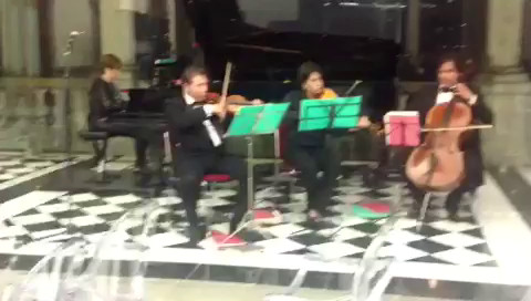 Violines Scala 